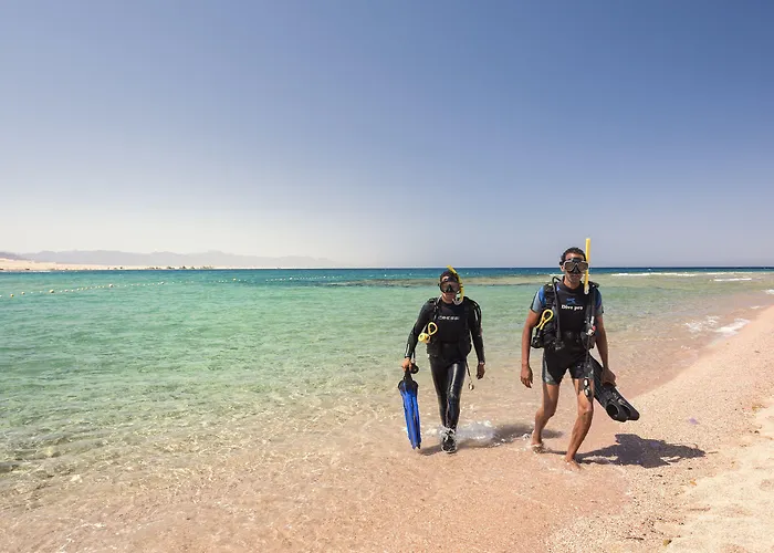 Barcelo Tiran